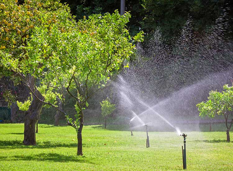 Irrigation Installation & Maintenance